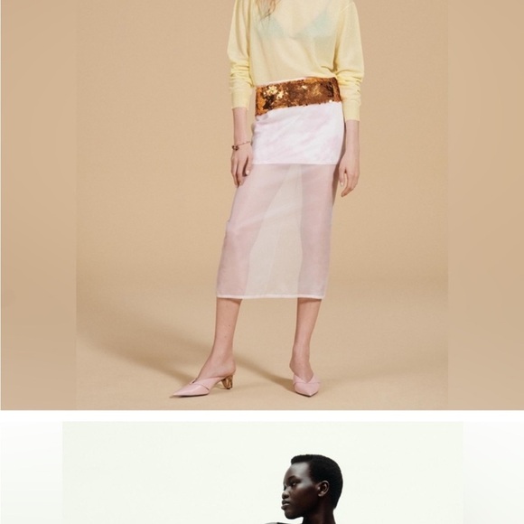 NWT ZARA GOLD SEQUIN ORGANZA
SKIRT size M
🚨FIRM PRICE NO DISCOUNT - Picture 12 of 15